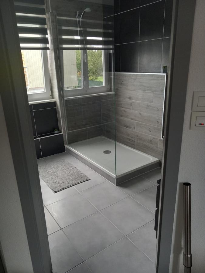 Appartement 3 Pieces Avec Balcon Rhinau Dış mekan fotoğraf
