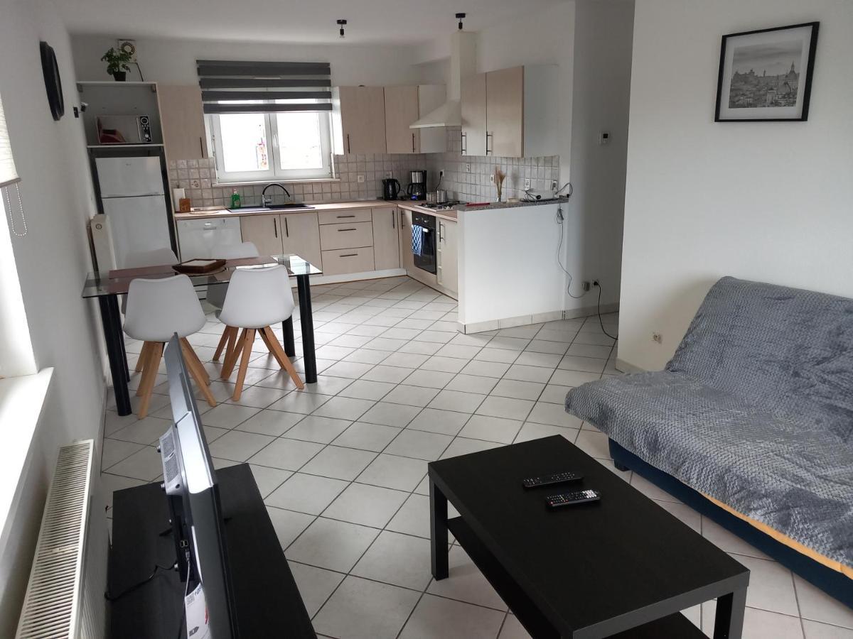 Appartement 3 Pieces Avec Balcon Rhinau Dış mekan fotoğraf